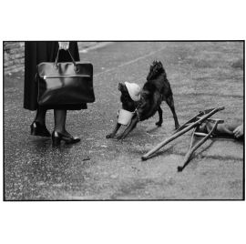 04. ITALIA. Roma. 1978. © Elliott Erwitt/Magnum Photos/Contrasto