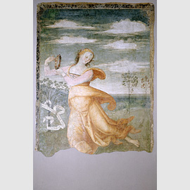 Gerini Gerino (Pistoia 1480 - Pistoia post 1529) La musa Erato danza al suono di un tamburello, 1510, Dipinto murale, cm. 189x295 Gerini Gerino (Pistoia 1480 - Pistoia post 1529) La musa Erato danza al suono di un tamburello, 1510, Dipinto murale, cm. 189x295