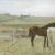 Edgar Degas. Cavalli in un prato, 1871, olio su tela. Chester Dale Fund, 1995.11.1