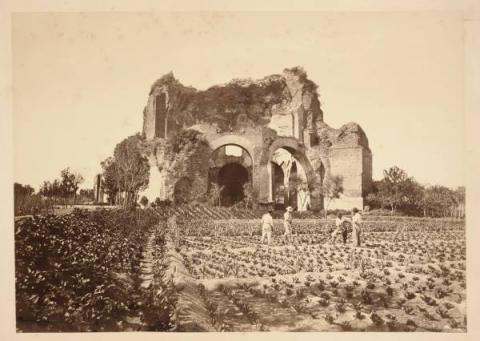 Gioacchino Altobelli (1814 – post 1878), Pompeo Molins (1827-1900 ca.) Tempio di Minerva Medica con coltivazione di ortaggi, 1860 ca. stampa all’albumina, AF 22815